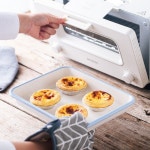 오븐 바트 법랑 트레이 브런치 플레이트 디저트 접시 후지호로 밧드 중 : 디오레코드