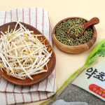 2024년산 햇곡 국산 토종 통녹두 600g 숙주나물 녹두나물콩 키우기 : 증안리약초마을