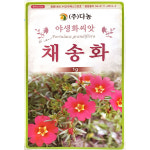 다농 채송화 1g : 제일농약사