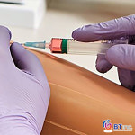 BT 국내생산 정맥주사실습모형 CSIV1-G 주사실습 채혈실습 : 의료기상사