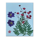 압화꽃팩/꽃누르미재료/S_P204패키지/들꽃향기공방꽃쎄트 : 곰인형캐릭터인형주연공방