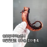 ★히트★[구운 조미 통족 180g 냉동보관] 군산 건어물 오징어파는언니 술안주추천 오늘안주 오징어파는언니 : 오징어파는언니 군산본점