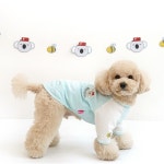 패리스독 스트라이프 코알라 티셔츠 (오렌지) : 마이펫ON