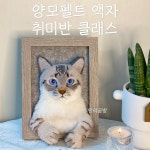 양모펠트 액자 취미반 클래스 [강아지 & 고양이 ] : 소원의공방