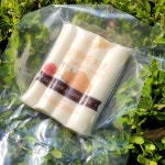 살루떼 저염 수제 스트링치즈 100g : MIR Farm