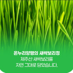 새싹보리정 가벼운환 새싹귀리정 숙취환 장쾌환 간환 : 빅원더