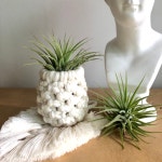 플랜트박스 파인애플화분 마크라메 틸란드시아 이오난사 에어플랜트 핸드메이드 : 플랜트박스