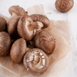 [토담골농장♥토담골며느리] 강원도 양양에서 자란 친환경 생표고버섯 800g, 1kg : 토담골며느리