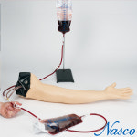 NASCO USA 정맥주사실습모형 IV주사채혈 실습세트 LF00698U : 의료기상사