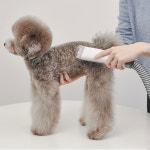 럽마이펫 5 in 1 스마트 진공 애견이발기 강아지털 흡입 셀프미용 날림방지 LMP-88 : 아재스토리영상샵