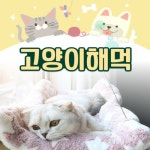 고양이해먹 (A0382) : 아르미몰