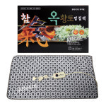 대신 참숯 옥황토 찜질기  DS-763T/ 3860 대형(42 x 80cm) 시간조절/ 온도조절 : 안스케어