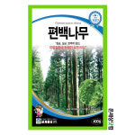 편백나무 400립 / 수목종자 화단 정원 마당 관상용 벽면 정원 조경가꾸기 : 온세상닷컴1
