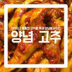 [오박사네 젓갈] 양념고추 무침 국민반찬 혼밥 도시락 아삭아삭 꼬들꼬들 식감 최고 양념고추무침 오박사 반찬 저염 숙성 500g 1kg : 오박사네... 