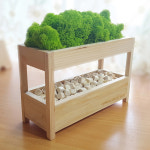 공기청정 스칸디나비아모스 플랜테리어 잘안죽는 물안줘도되는 식물 키우기 DIY 편백나무 원목 큐브 화분 스칸디아모스 세트 : 위드 오브젝트