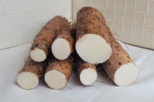 마사토 무농약 햇마 40년 직접재배 장마 참마 산마 생마 깐마 2kg 진주마 안동마 : 진주사랑마