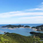 산지특공대양학점 | [흑산도수협중매인75번 산지직송]중매인이 발송하는 진품 흑산도홍어 500g,1kg,1마리 (VJ특공대,한식의마음 방송출연) : 동일수산