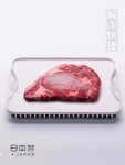 해동보드 항균도마 일본판 메탈 알루미늄 합금 스테이크는 급속 해동시켜 디스크를 빠르게 얼려 : 마이모닝