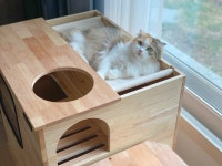 파파냥 사막화방지 고양이 원목 화장실 대형 해먹 숨숨집 겸용 베이직 통로타입 : 파파냥