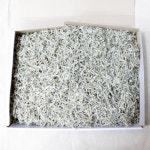 [강북구·도봉구 배달] 짭짤하고 고소한 볶음지리멸치 1kg [수유전통 대성건어물] : 동네시장 장보기