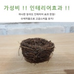 인테리어 화분 둥지 실내 가정 사무실 새집 카페 소품 다육 식물 선물 다용도 공기정화 : 하루와