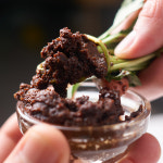 강원도 시골 보리막장 유기농 재래식 막된장 SBS 생활의 달인 : 절골농원