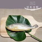 반건조 부세조기 3마리5마리 제사상 제수용 부새 부서조기 손질생선 부세 : 성호상회