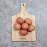 한스팜 동물 복지 달걀 40구 난각번호 2 특란 유정란 코스트코 계란 : 플렉스쇼핑