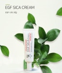 오가랩 피부과 병원 화장품 EGF 시카크림 30g 재생크림 레이져치료후 점뺀뒤 : 클라이스킨