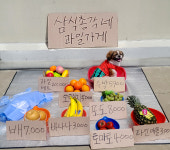 강아지 옷 티셔츠 여름 CISMAS 시스마스 삼식총각네과일가게수박티셔츠 (XS-XXL) : CISMAS