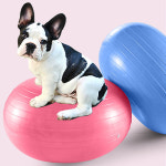 강아지짐볼 슬개골 강아지 운동기구 : 나나힐컴퍼니
