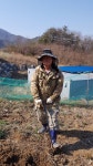 소백산 생천문동 1Kg : 단양미노골농원
