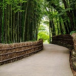 동양 담양 대나무 죽림 소쇄원 죽녹원 정자 숲 오솔길 자연 파르텔 민속 벽지 시트지 롤스크린 유리 : 으뜸데코