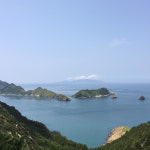 [흑산도수협중매인75번 산지직송]청정해역에서 생산자가 직접 발송하는 흑산도전복 1kg 동일수산 : 동일수산