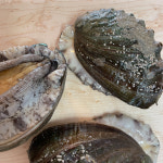 [흑산도수협중매인75번 산지직송]청정해역에서 생산자가 직접 발송하는 흑산도전복 1kg 동일수산 : 동일수산