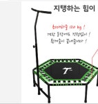 성인 트램폴린 트램펄린 실내 운동 기구 트린플린 트램펄린 방방이 홈트레이닝 고급 : 한국코리아
