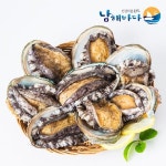 [갤러리아] [남해바다] 완도 전복 활전복 특대 1kg (7~8미)선물세트／보자기포장 : 갤러리아백화점