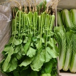 빨강장화농장 열무김치용 산지직송 연한 열무 2kg, 4kg : 빨간장화농장