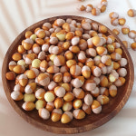 깐은행 피은행 2024년 먹는 국산 햇 생 누드 은행 알 열매 500g 1kg : 싱싱밭