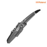롤랜드 전자 색소폰 에어로폰 AEROPHONE AE-10G : 소울뮤직