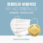 국산 프랜드리 덴탈 마스크 수술용 비말차단 KFAD 50매 : 생활길잡이