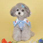 (추가구매) 위드토리 체리체리해 강아지 머리핀 애견 헤어핀 삔 : PICKYSHOP 피키샵