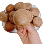 버섯1번지 장흥 무농약 생 표고버섯 2kg 정품 특상품 : 버섯1번지