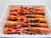 2023년 선동 딱새우 3-6월 시즌판매 1kg 왕 20미, 특대 28미, 대 40미 : 명천냉동수산