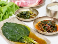 울릉도 특산물 명이 명의 나물 부지깽이 장아찌 절임 세트 노마진 음식 맛집 어르신반찬 : 웰컴울릉