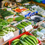 [구리시 배달] 싱싱한 상추 1근 [구리 강원야채] : 동네시장 장보기
