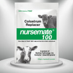(과세상품) 널스메이트100 (NURSMATE100) 프리미엄 송아지초유 400g (IgG 함량 100g) : 널스메이트
