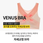 비너스 솔브 바른자세 굽은등교정 어깨결림방지 자세교정 브라 : 비너스솔브중랑점