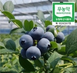 [민찬농장]무농약 하우스 블루베리(특)17~15mm 1kg,500g : 민찬농장