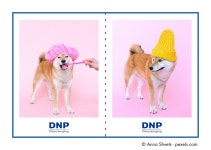 DNP 디앤피 DSRX1-HS 인화지 4X6 /1400매 2분할용지(4x3 인치 2장 컷팅) : 케이엠컴퍼니